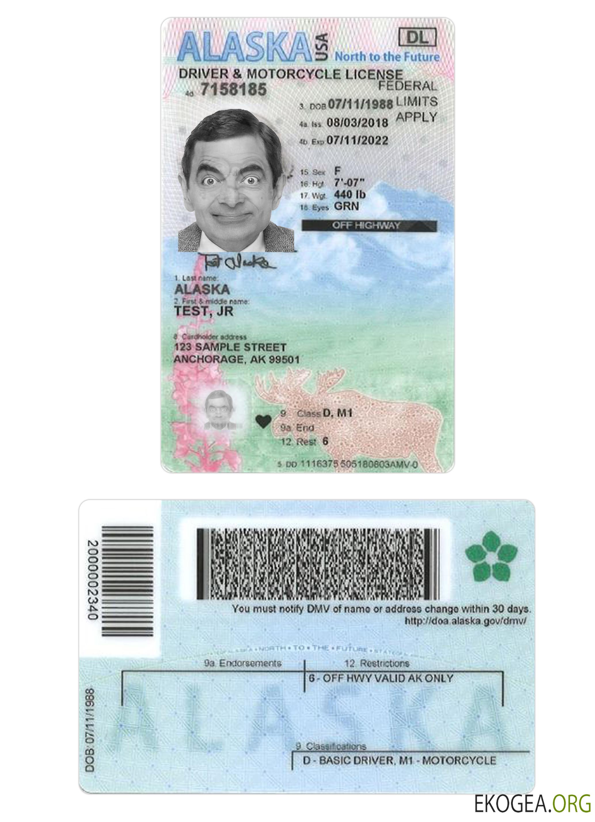 USA Alaska under 21 driving license